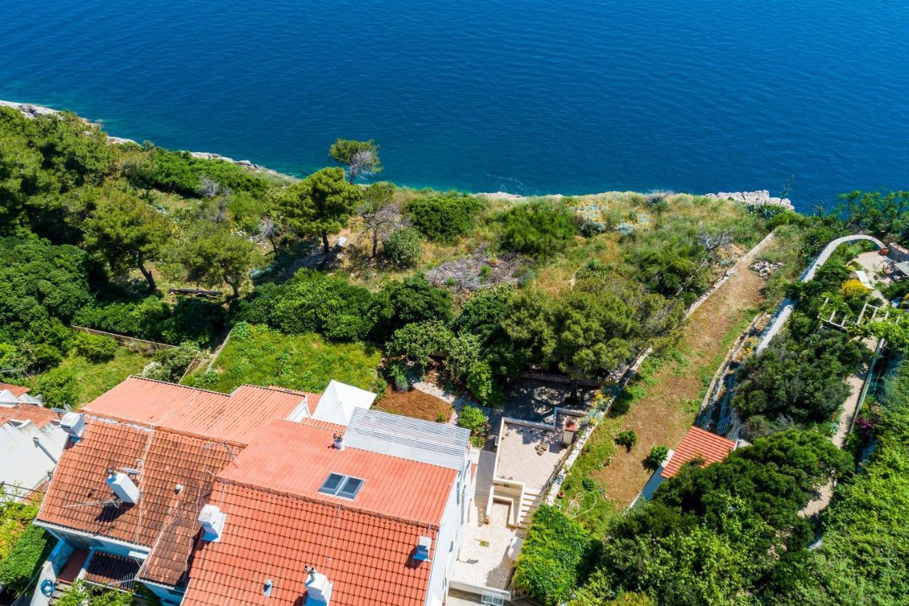 Apartma Edita