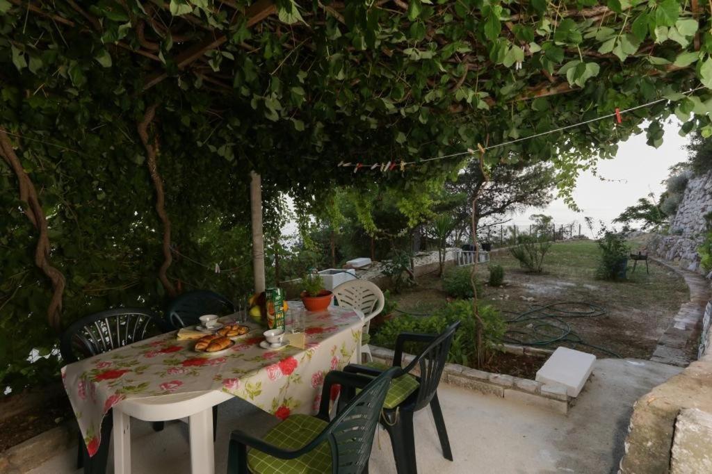 Apartma Edita
